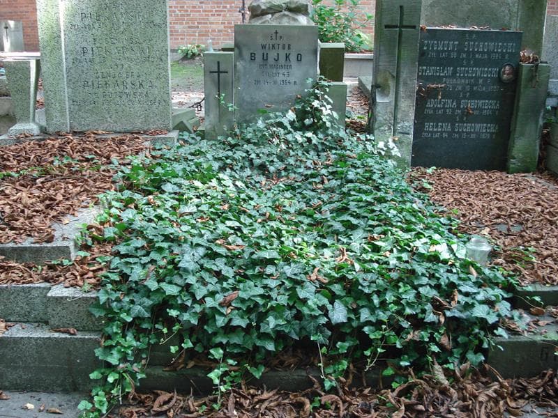 Zdjęcie grobu Wiktor Bujko (1)