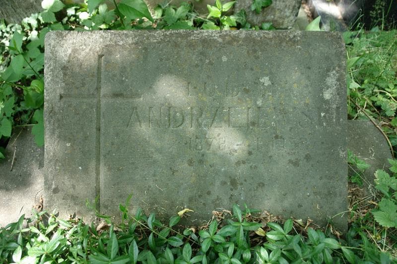 Zdjęcie grobu Ludwik Andrzejewski (2)