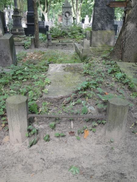 Zdjęcie grobu: Eleonora Freudenstern