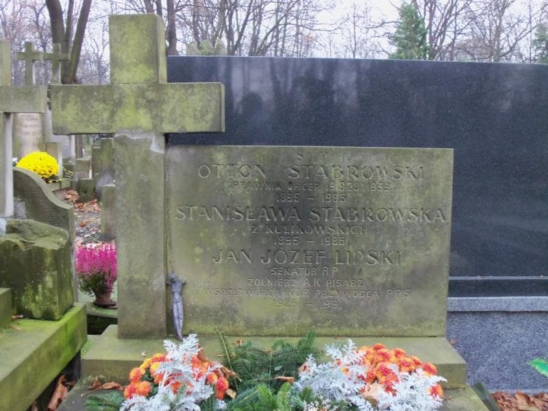 Zdjęcie grobu Jan Józef Lipski (2)