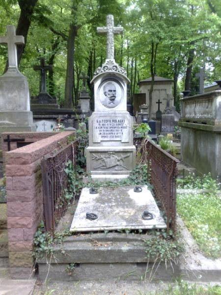 Zdjęcie grobu: Teofil Polaski