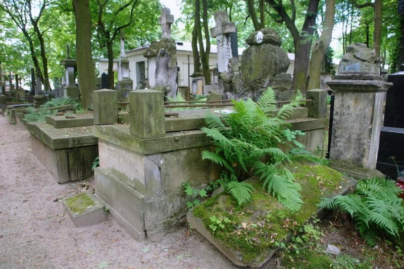 Zdjęcie grobu: Zygmunt Brzeźniakiewicz