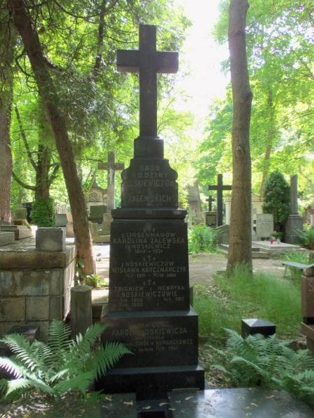 Zdjęcie grobu Karol Noskiewicz (2)