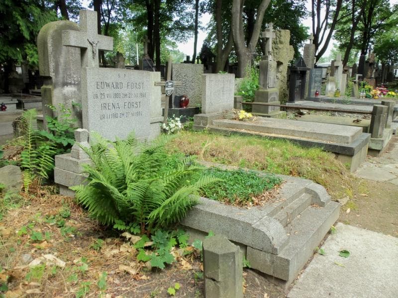 Zdjęcie grobu Edward Forst (2)