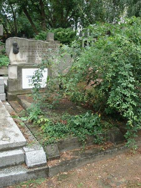 Zdjęcie grobu Łucja Marta Krajewska (1)