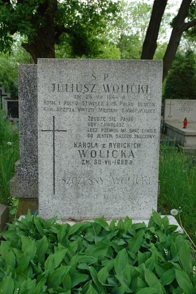 Zdjęcie grobu Karola Wolicka (2)