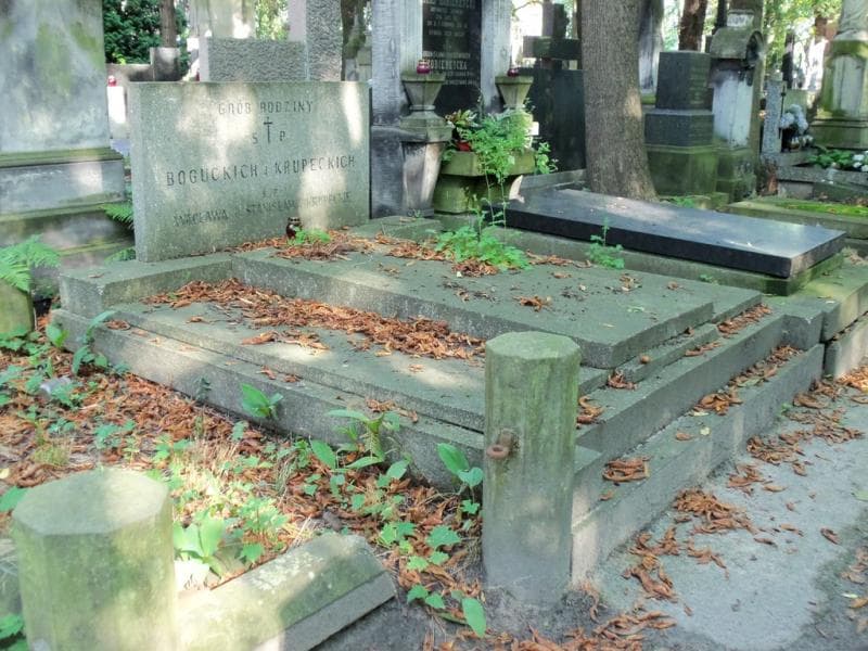 Zdjęcie grobu Boguccy (1)