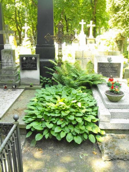 Zdjęcie grobu: Stanisław Przybylski