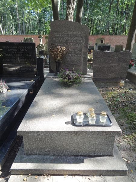 Zdjęcie grobu Teresa Kozłowska (1)