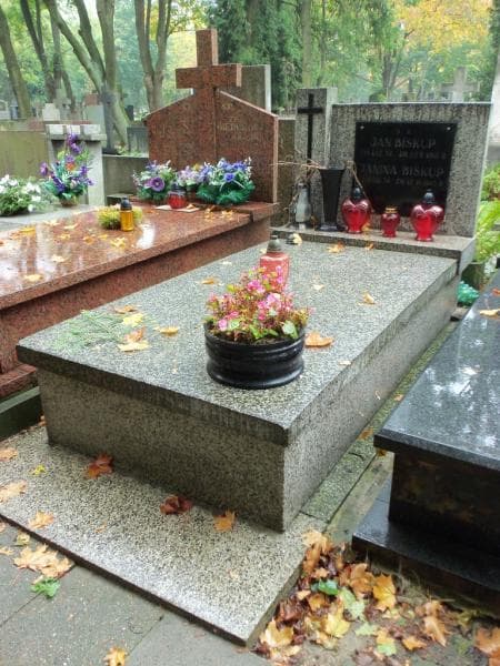 Zdjęcie grobu Janina Biskup (1)