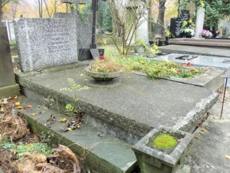 Zdjęcie grobu Jadwiga Wolnicka (1)