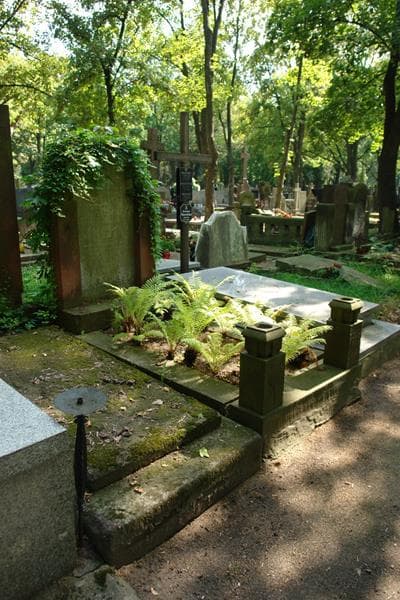 Zdjęcie grobu Mieczysław Kłossowski (1)
