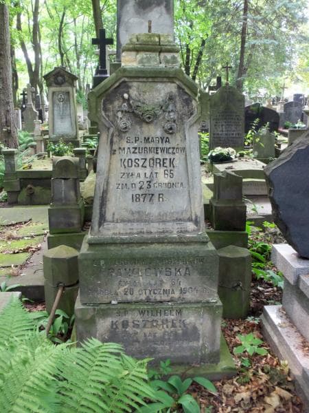 Zdjęcie grobu Ludwika Pawłowska (1)