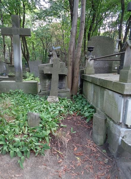 Zdjęcie grobu Zofia Rubinowicz (1)