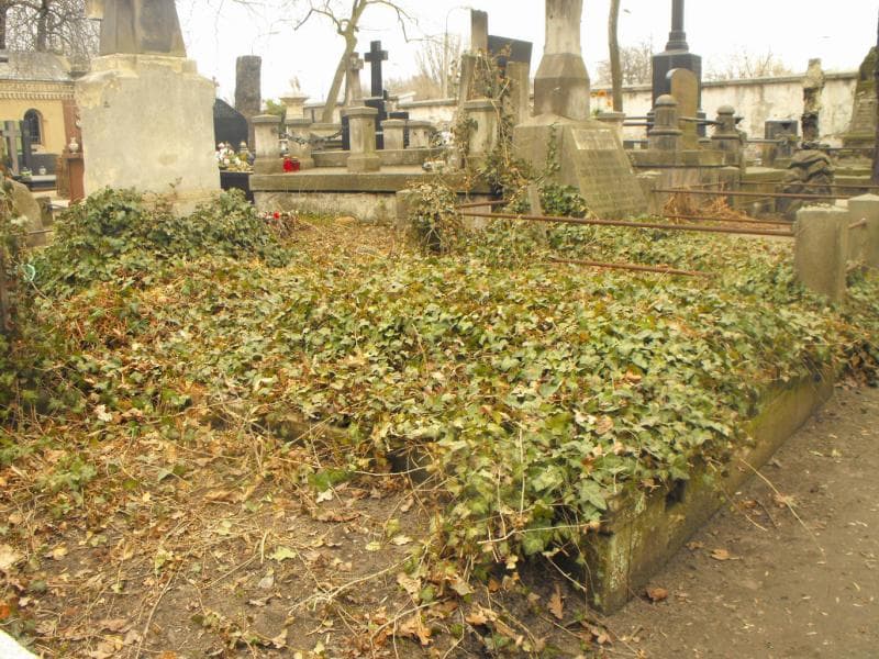 Zdjęcie grobu Marja Kryńska (1)