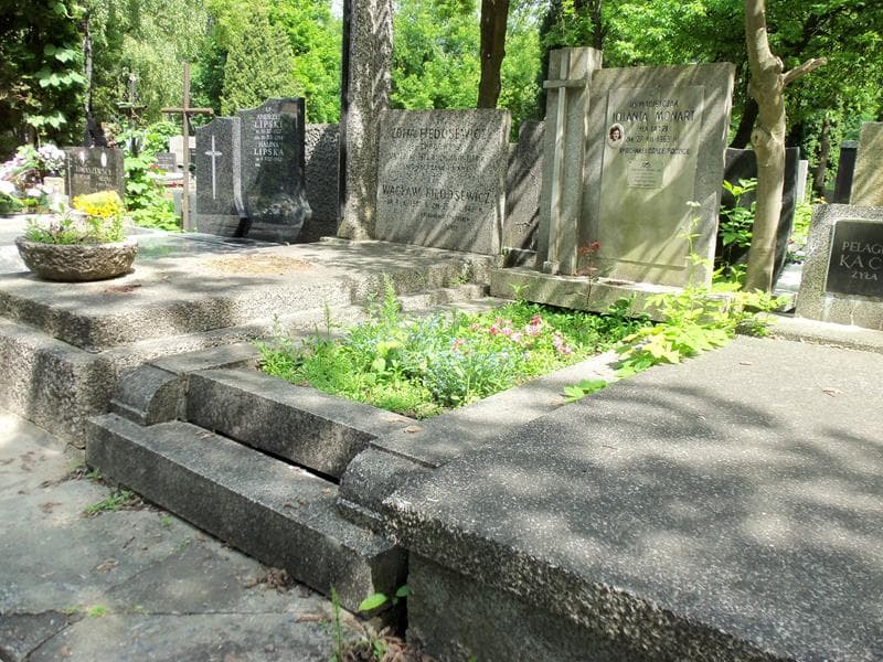 Zdjęcie grobu Kazimierz Maciejczak (1)