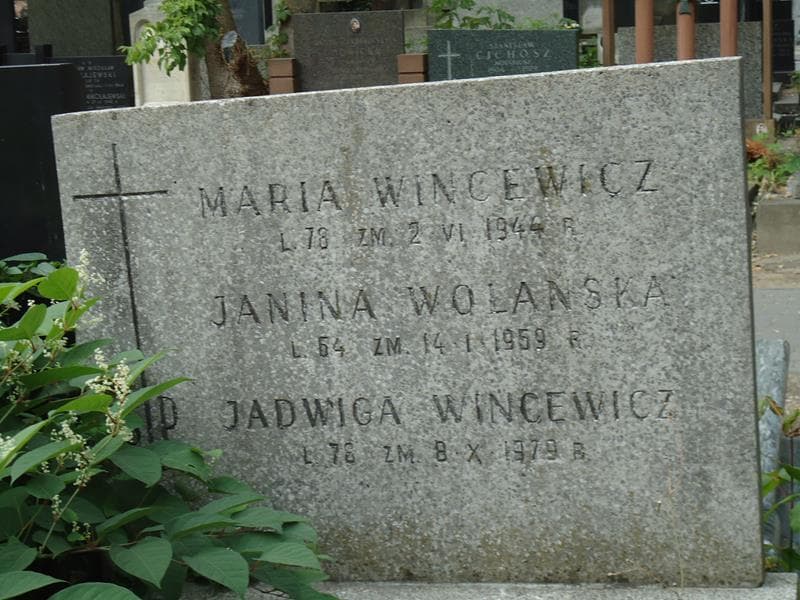 Zdjęcie grobu Janina Wolańska (2)