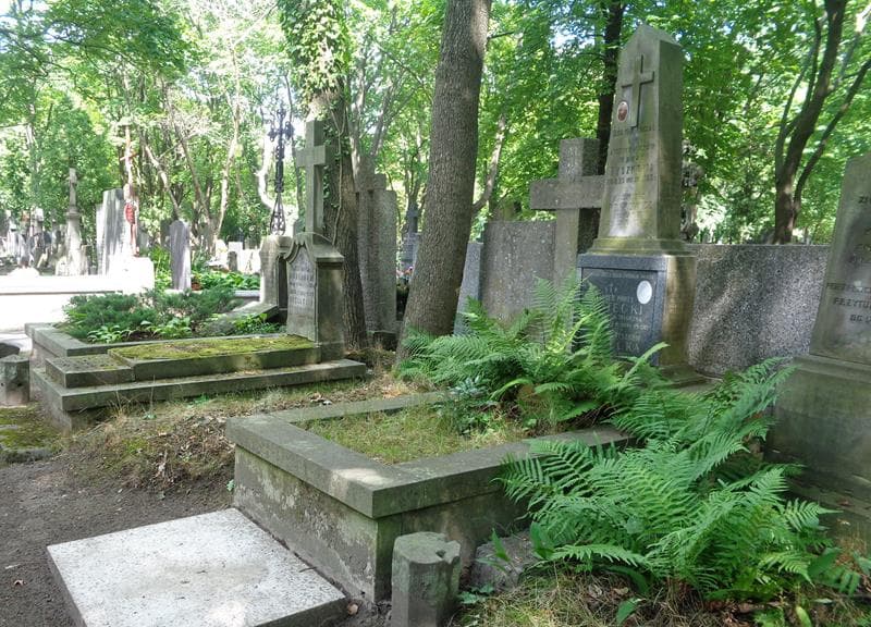 Zdjęcie grobu: Julia Irzykowicz