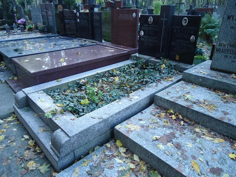 Zdjęcie grobu Stanisław Brzeziński (1)