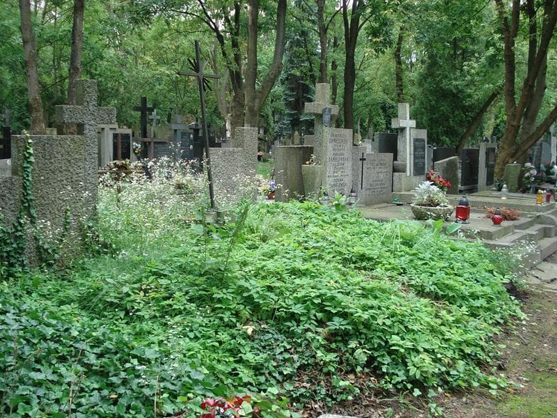 Zdjęcie grobu Danuta Bedyńska (1)