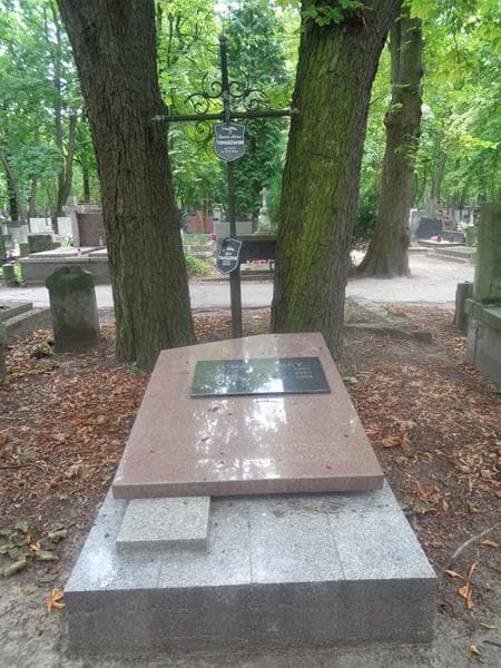 Zdjęcie grobu Witold Tomaszewski (1)