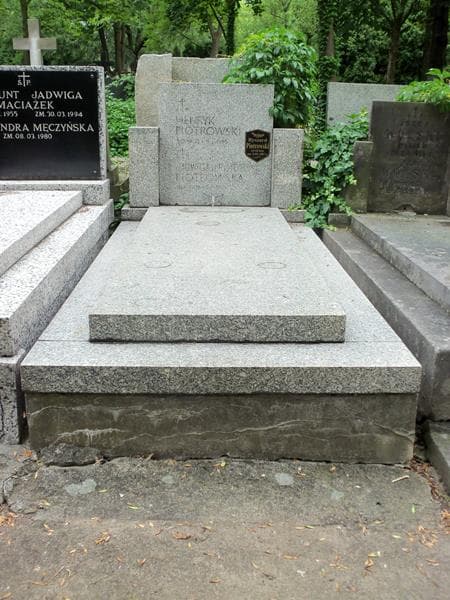 Zdjęcie grobu: Henryk Piotrowski