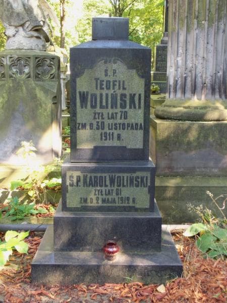 Zdjęcie grobu Karol Woliński (2)