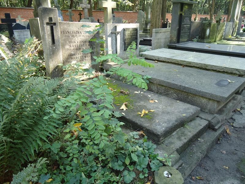 Zdjęcie grobu Ludmiła Marczewska (1)