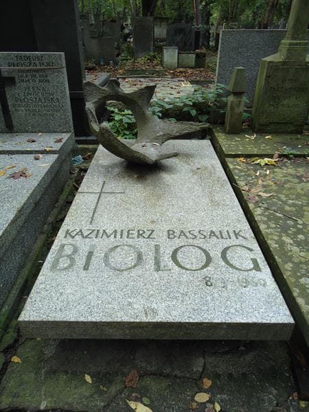 Zdjęcie grobu: Kazimierz Bassalik