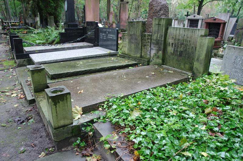 Zdjęcie grobu: Aleksander Budziński