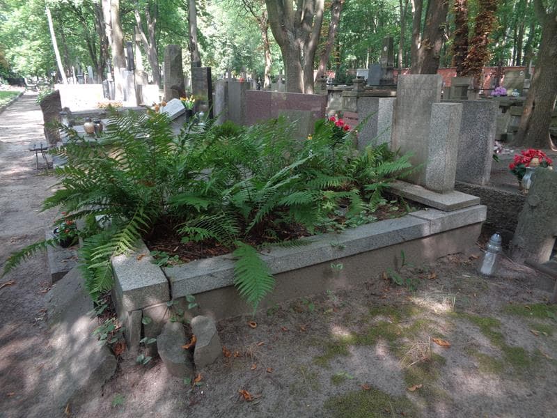 Zdjęcie grobu: Henryk Głażewski