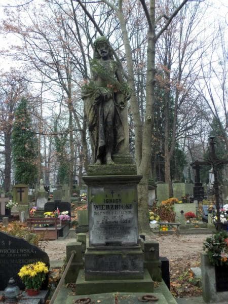 Zdjęcie grobu Amelja Trojanowska (2)