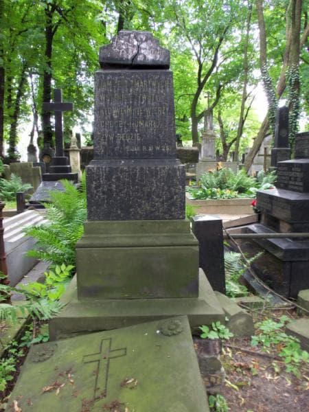 Zdjęcie grobu Franciszek Martin (2)