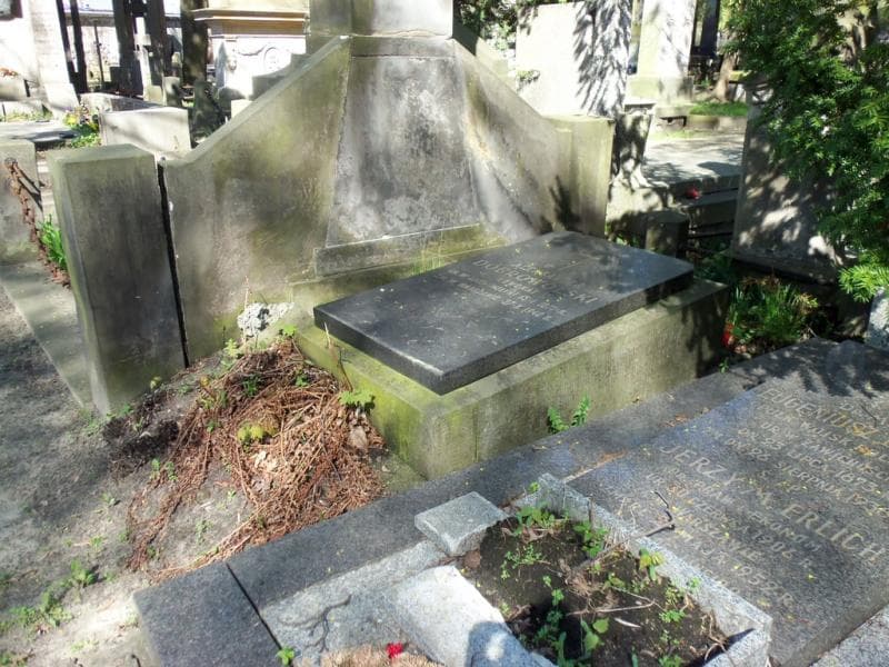 Zdjęcie grobu Aleksander Dobrowolski (1)