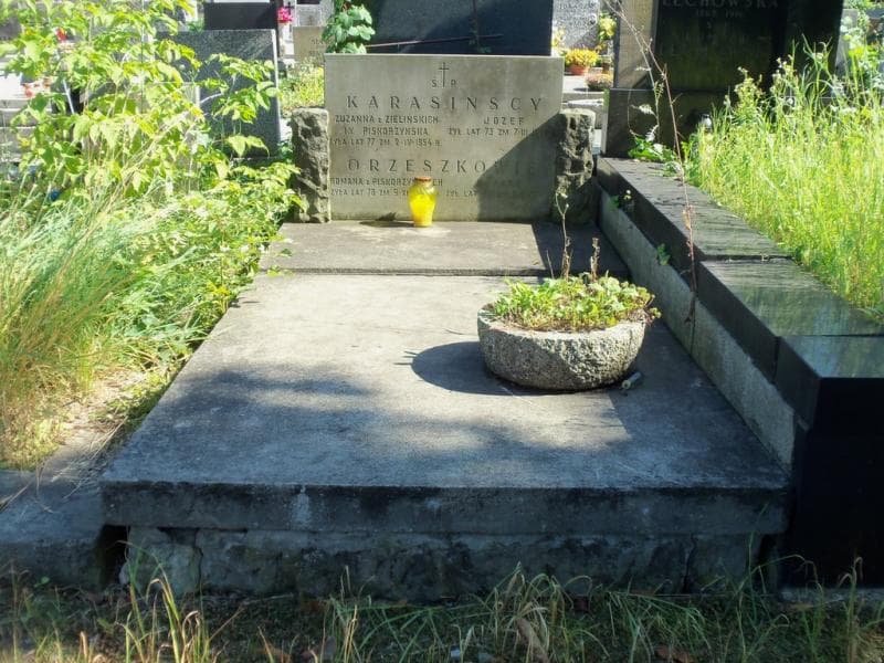 Zdjęcie grobu: Romana Orzeszko