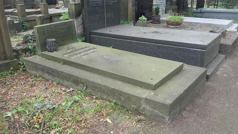 Zdjęcie grobu: Eugeniusz Serwiński