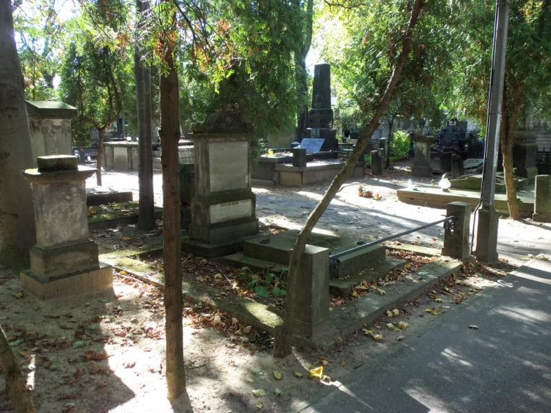 Zdjęcie grobu August Lessel (1)