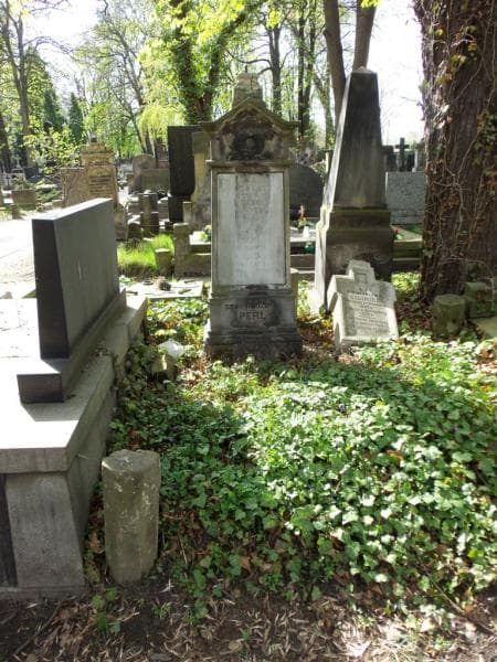 Zdjęcie grobu Robert Perl (2)
