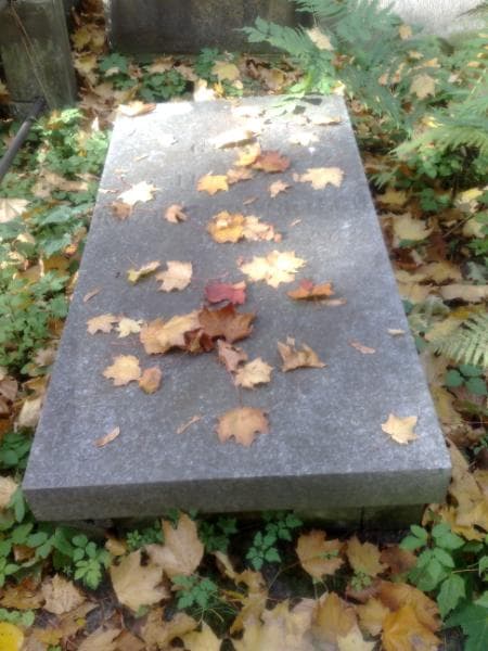 Zdjęcie grobu Juljan Krzeczkowski (1)