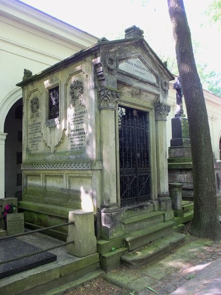 Zdjęcie grobu Amelja Braun (1)