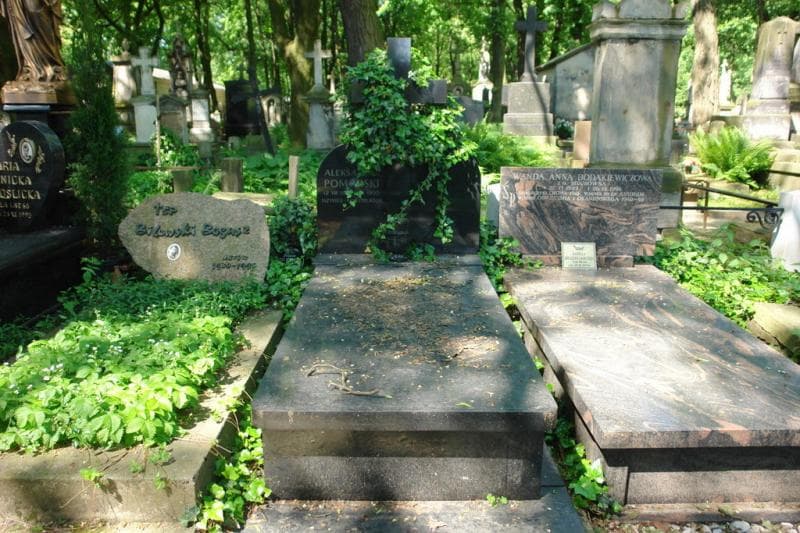 Zdjęcie grobu Alksander Pomorski (1)