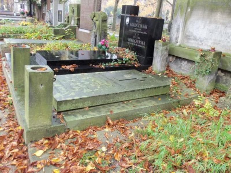 Zdjęcie grobu Henryk Dembiński (1)