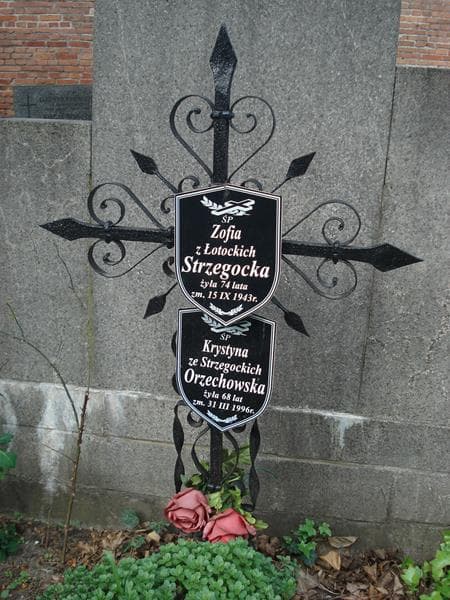 Zdjęcie grobu Zofia Strzegocka (1)