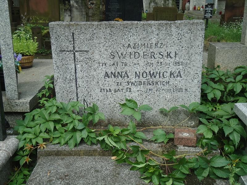 Zdjęcie grobu Anna Nowicka (2)