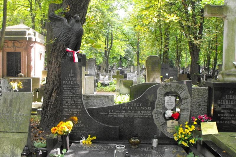 Zdjęcie grobu Maria Teleżyńska (2)
