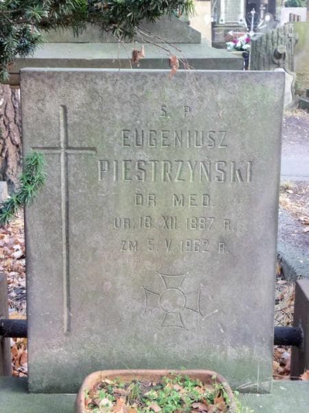 Zdjęcie grobu Eugeniusz Piestrzyński (2)