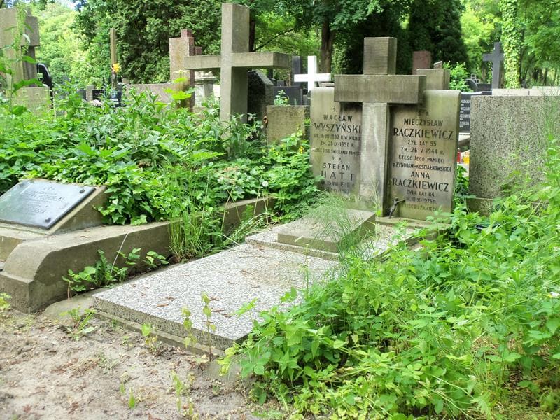 Zdjęcie grobu Wacław Wyszyński (1)