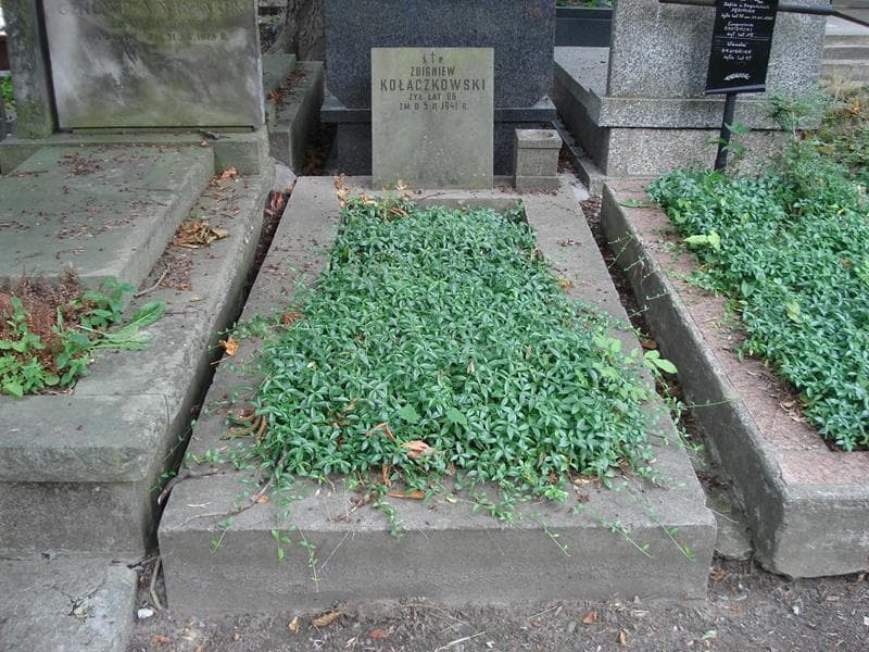 Zdjęcie grobu Zbigniew Kołaczkowski (1)