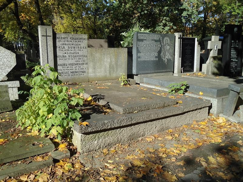 Zdjęcie grobu Maciej Krzemieniewski (1)