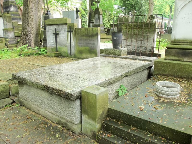 Zdjęcie grobu Wacław Iwaszkiewicz (2)